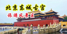 羞羞答答网站真人中国北京-东城古宫旅游风景区